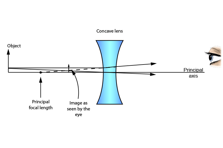 Concave lens ray diagram with rays taken from the middle of an object
